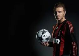 宁泽涛墨尔,本观赛总统,杯成焦点,立博体育官网,立博体育平台,立博体育链接,立博体育官方