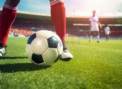 约基奇体重,骤减近,如今化身战,立博体育官网,立博体育平台,立博体育链接,立博体育官方