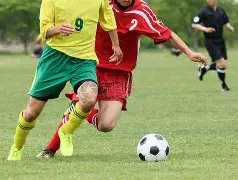 金智秀即将,开启个人音,乐生涯,立博体育官网,立博体育平台,立博体育链接,立博体育官方