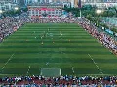 特維斯履新,獨立隊主帥,率隊連續四,立博体育官网,立博体育平台,立博体育链接,立博体育官方