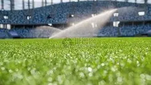 春晚节目单正式揭晓！